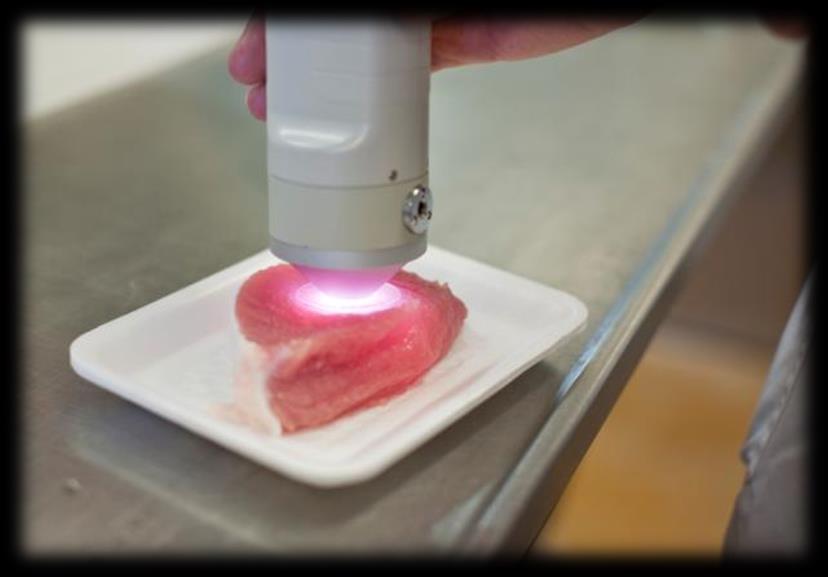 MEAT QUALITY ON LOIN AND HAM Measurements 24 h post mortem ph and temperature Colour Driploss Muscle weight and size