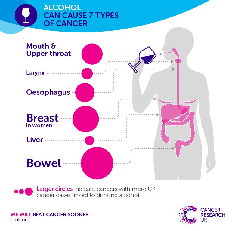 Alcohol and Cancer o Alcohol is responsible for around 12,800 cancers in the UK every year o A large