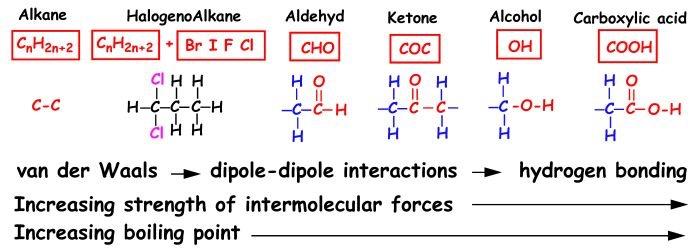 Properties & Structure Carboxylic Acids experience all three kinds of intermolecular forces: Van der Waals Forces Dipole-Dipole Forces Hydrogen Bonding Because carboxylic