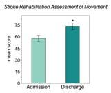 Stroke Pathway Functional outcome measures Functional gains impacting everyday life Decrease in the need for supervision Measures impairment in voluntary movement (UE, LE) and