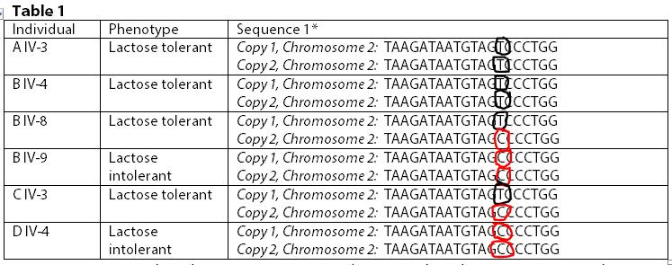 *Sequence 1 is a nucleotide sequence corresponding to nucleotides 19923-13902 upstream from the start of the lactase gene.
