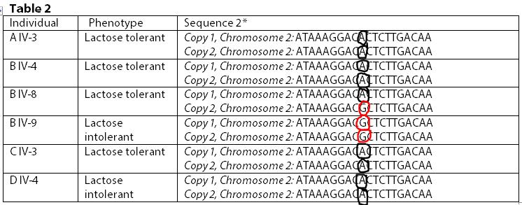 192-30173 upstream of the start of the lactase gene. 3. Pretend that you are the researcher who discovered the variations and you are writing to a colleague describing what you found. a. How would you describe the variation(s) you found in Sequence 1?