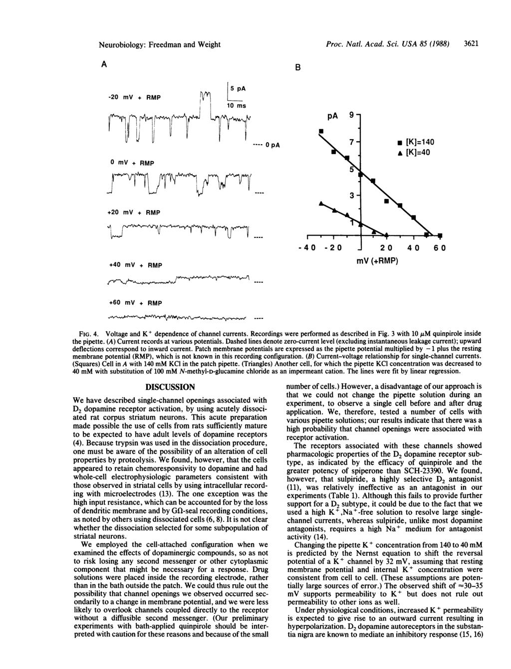 Neurobiology: Freedman and Weight A B Proc. Natl. Acad. Sci. USA 85 (1988) 3621-20 mv + RMP n 5 pa K 10 ms pa 9 0 mv + RMP -- OpA * [K]=140 * [K]=40 +20 mv + RMP _X.