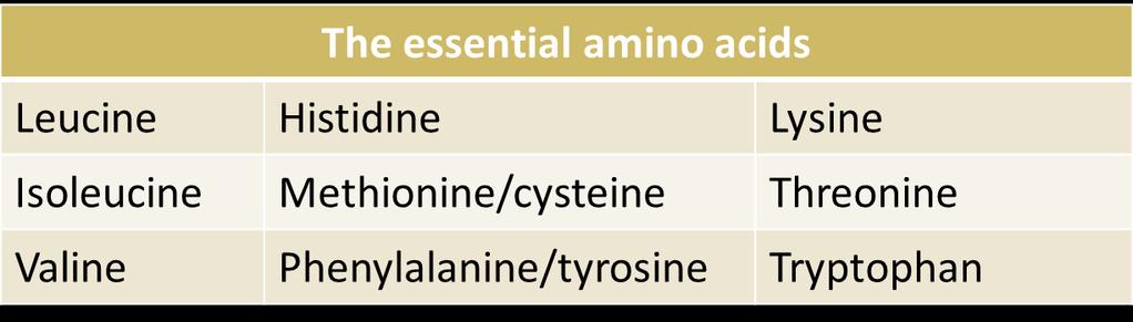 Food proteins comprise 20 L- -amino acids, some of which are essential (must be consumed in the diet) Peptide bonds link amino acids
