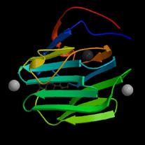 SHBG binds T > E 20-60 nmol/l male 40-120 nmol/l female