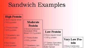 2 grams protein Moderate Protein 8 ounces mocha