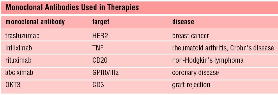 Monoclonal antibodies used in medicine Standardized, unlimited reagents for diagnosis or therapy Some representative examples.