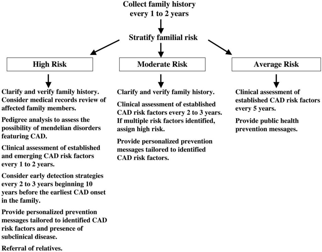 Genetic evaluation for CAD Fig. 3 Proposed scheme for using family history to guide early detection and prevention strategies for CAD.