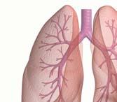 9%) Respiratory Infections 200,000 Interstitial lung disease 200,000 COPD 19.3m (6.