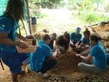 We have also had a chance to visit the elephant hospital in Krabi.