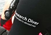 New in house dive operations Projects Abroad Thailand are