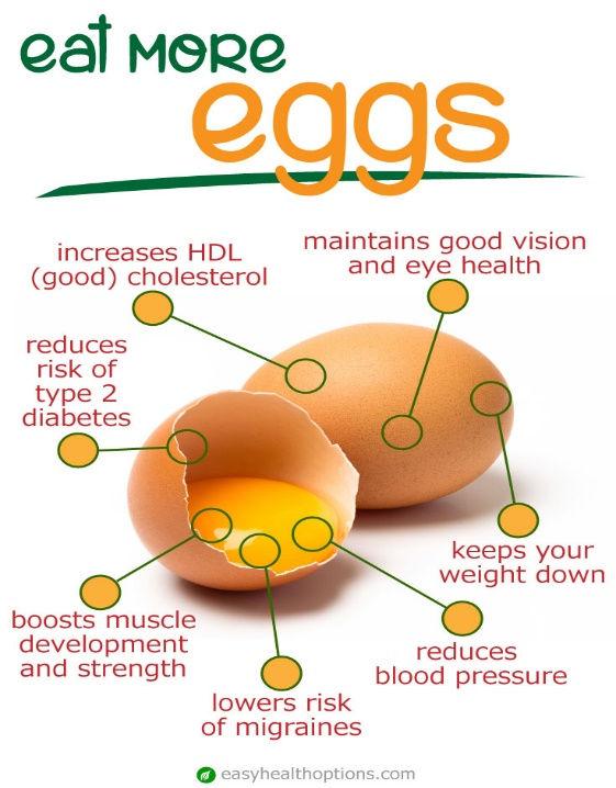 What's So Great About Egg Yolks?