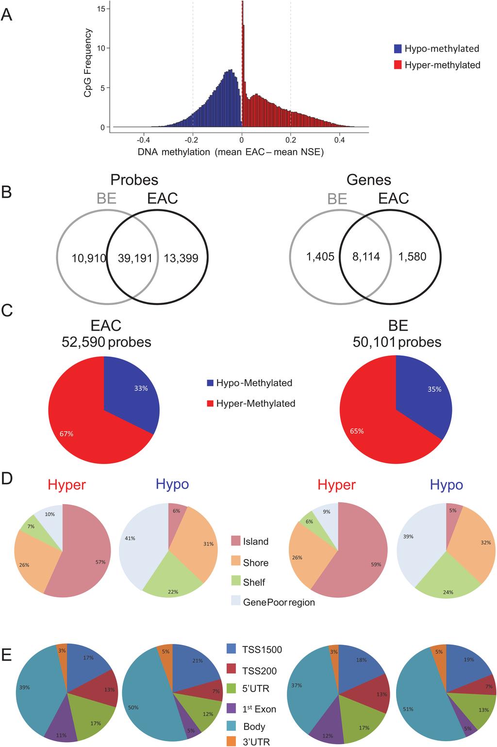 L.Krause et al. 359 Figure 1. Global overview of DNA methylation patterns in BE and EAC. (A) Range of beta value differences of differentially methylated probes (FDR < 0.01) in EAC compared with NSE.