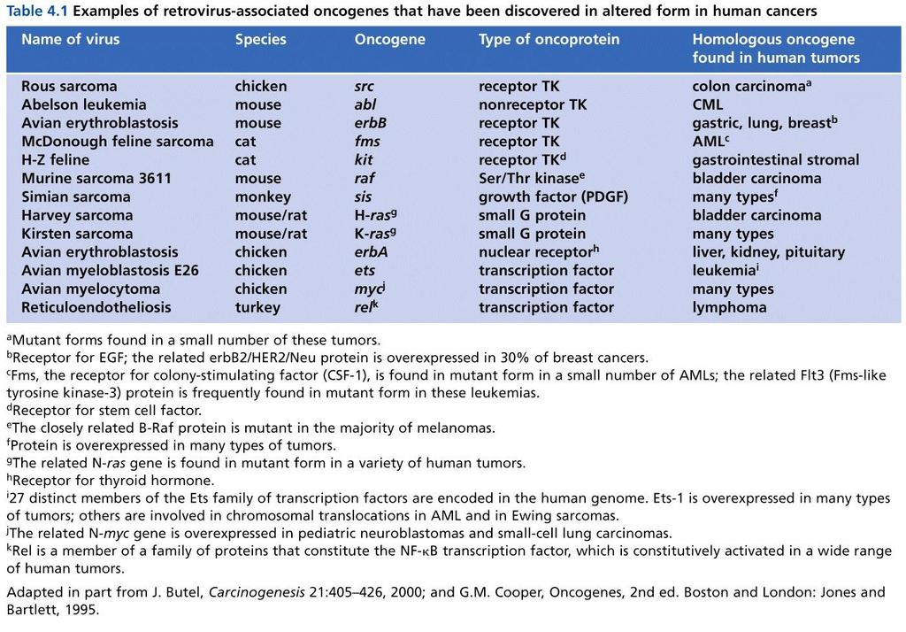 TK : tyrosine kinase Table 4.