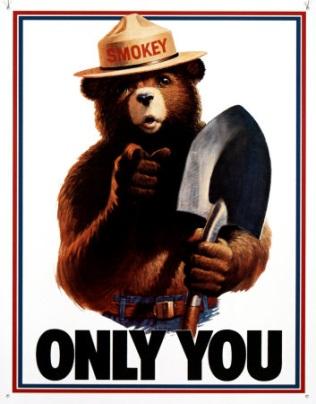 Whereas Smokey the Bear does prevent