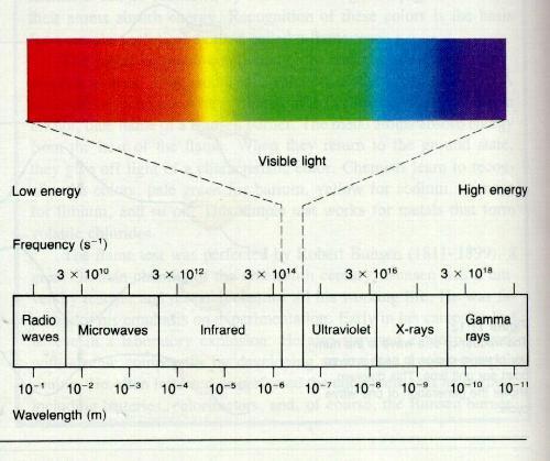 Some terms Wavelength: the frequency of light This is a physical measurement Some terms Chromatic color: