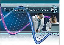 THE CANCER GENOME ATLAS PROJECT The purpose of the Cancer Genome Atlas Project is to create an atlas of the significant somatic mutations associated with most cancers.