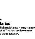 3 things affect PR: (i) BLOOD VISCOSITY - Internal resistance due to stickinesss of fluid due to elements in blood.