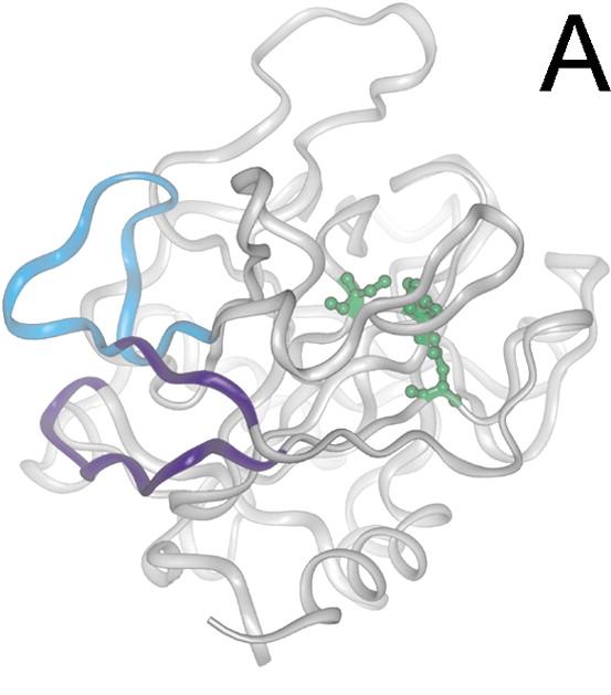 mab epitope Epitope mapping of a