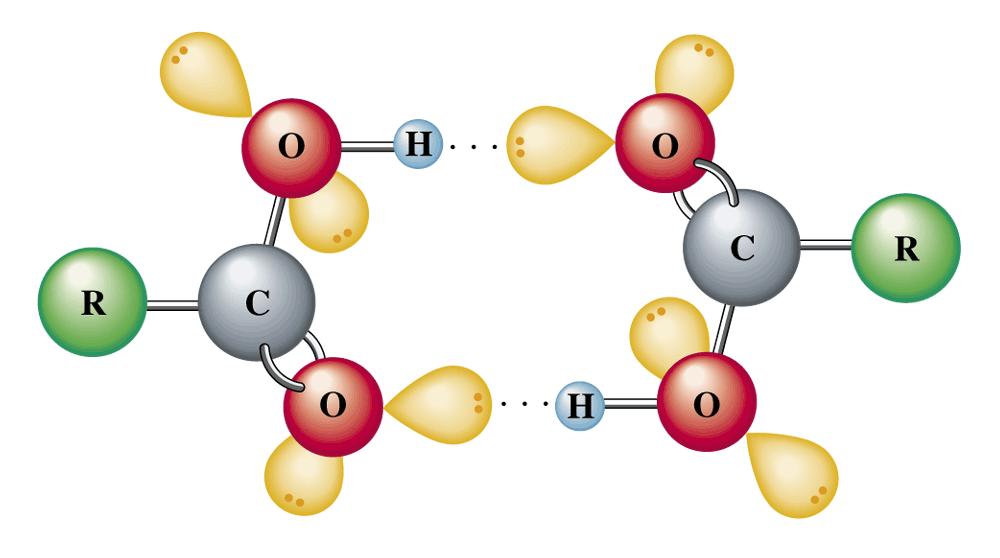 A given carboxylic acid molecule can form two hydrogen bonds to another carboxylic acid molecule, producing a dimer.
