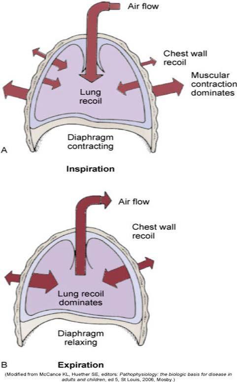 What is Ventilation?