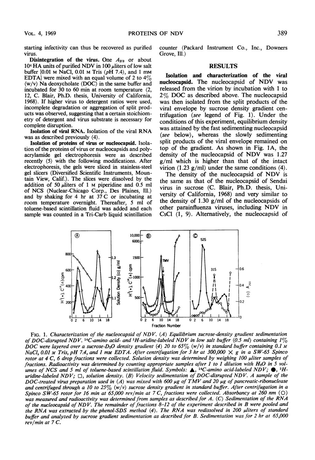 VOL. 4, 1969 PROTINS OF NDV 389 starting infectivity can thus be recovered as purified virus. Disintegration of the virus.