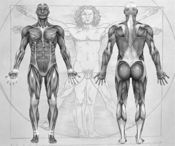 Common Belief #2 When the right and left sides of the body are symmetrical, each side will rotate around that central