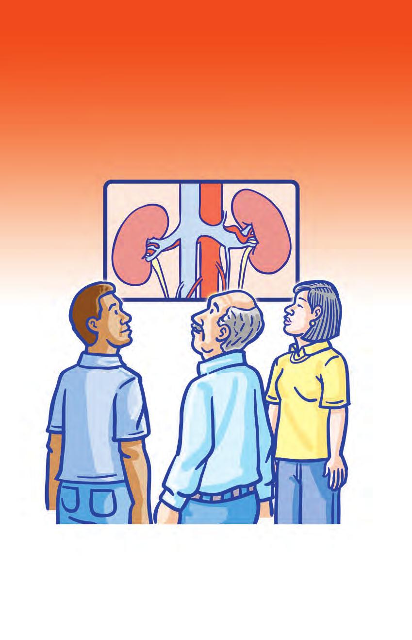 Learn About Kidneys and