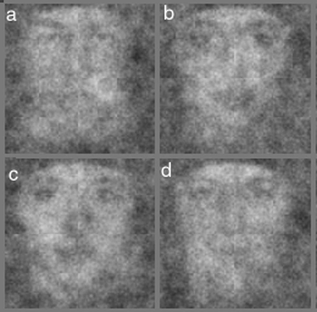 214 M.C. Mangini, I. Biederman / Cognitive Science 28 (2004) 209 226 Fig. 2. Four noisy face images produced by superimposing sinusoidal noise over the identical base image.