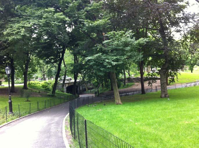 I was not a long time in the central park but it was amazing just having so much green in the middle of New