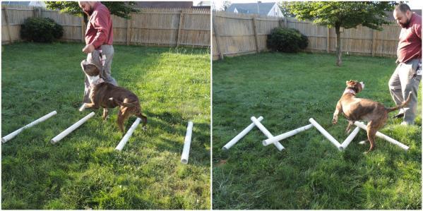 Cavaletti Rails, High-Stepping, or Obstacle Course This exercise is prescribed for