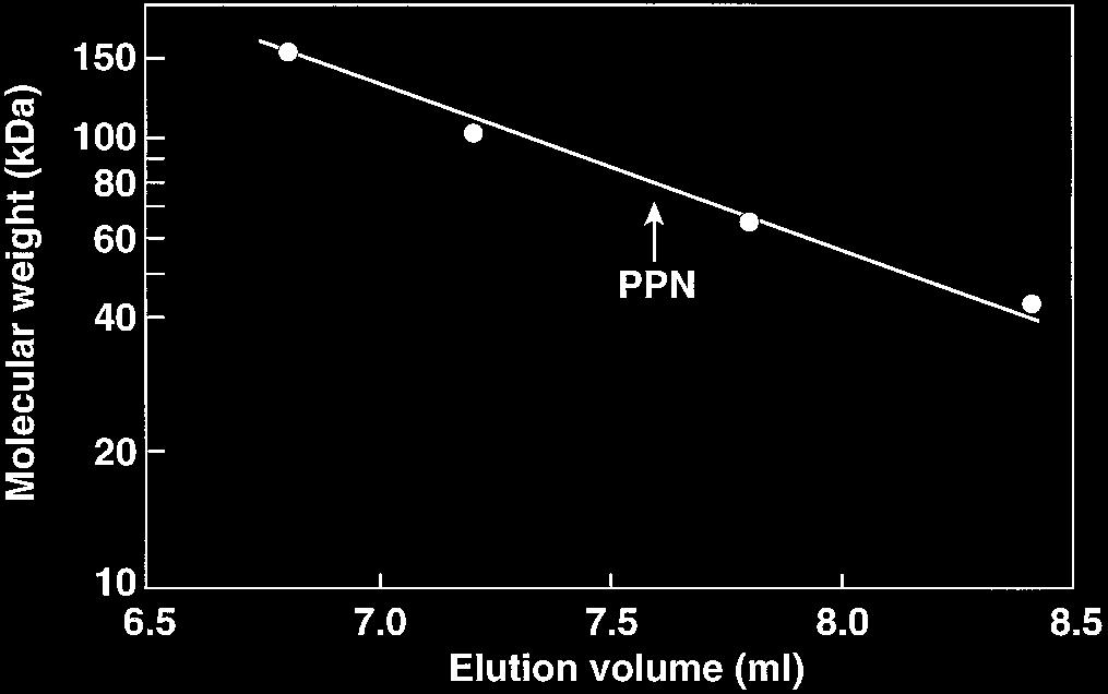 Molecular size markers are in the left column. FIG. 2. Gel filtration of PPN. PPN was applied to a TSK-Gel G2000SW XL column (TosoHaas) equilibrated with buffer B.