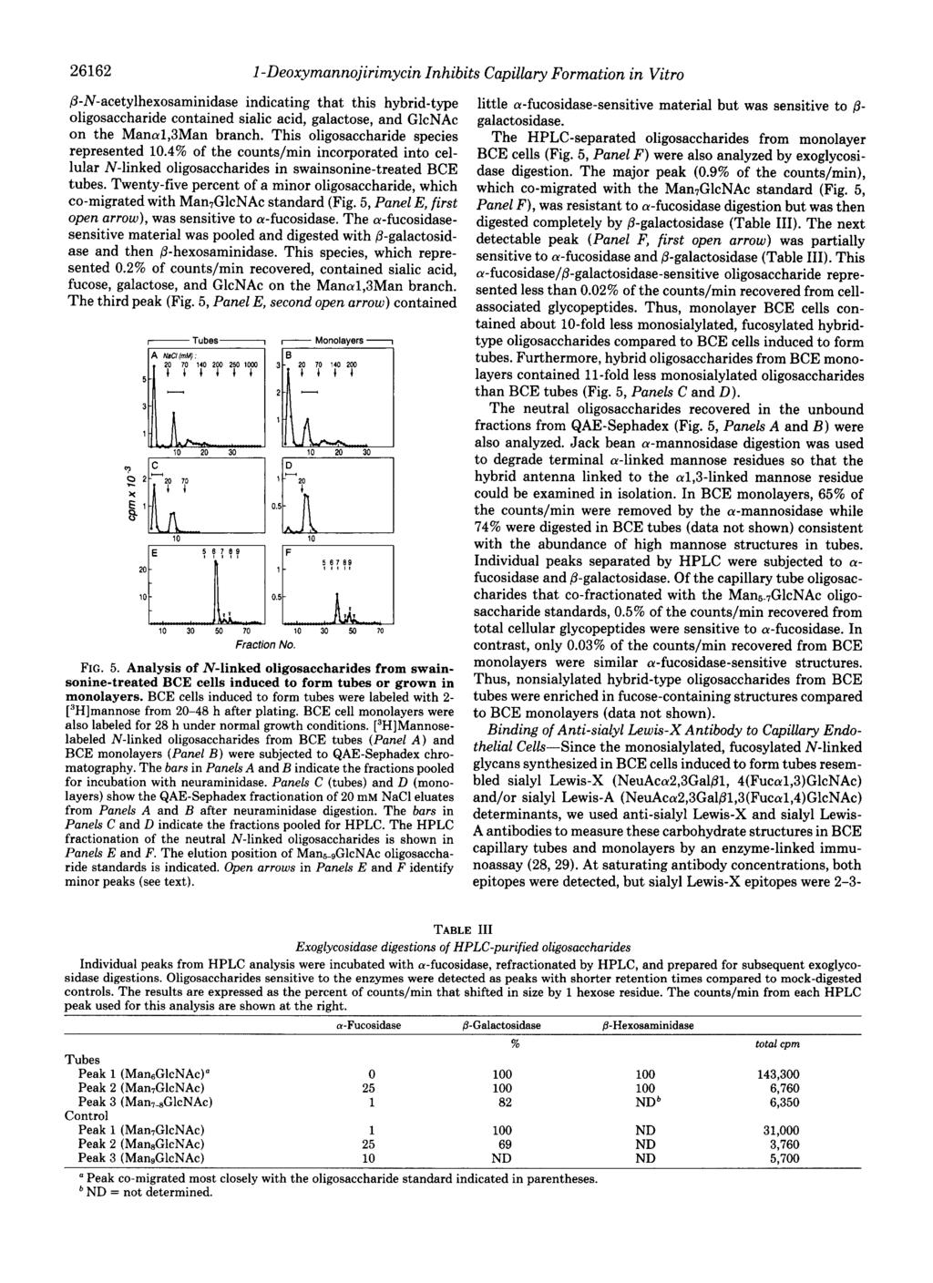 26162 1 -Deoxymannojirimycin Inhibits Capillary Formation in Vitro P-N-acetylhexosaminidase indicating that this hybrid-type oligosaccharide contained sialic acid, galactose, and GlcNAc on the