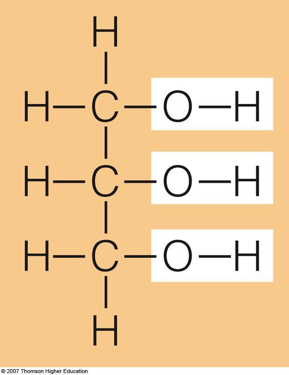 Chemist s View of Fatty Acids and Triglycerides 1 glycerol molecule 3 fatty acids Triglycerides