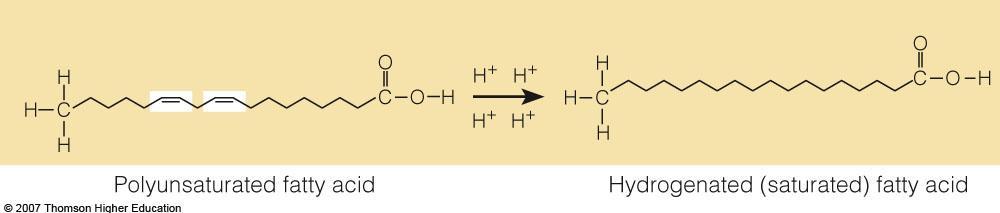 Hydrogenation Double bonds carry a slightly negative charge and readily accept