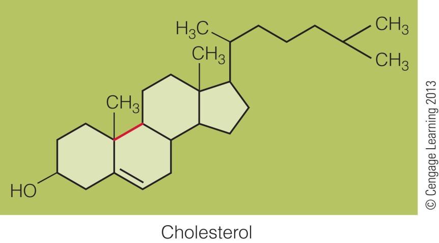 Sterols Roles of sterols: Cholesterol ( component of