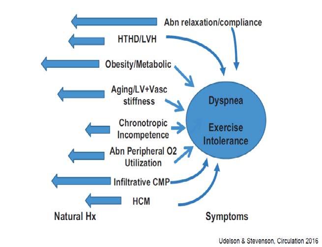 HFrEF: cardiomyocyte insult neurohormonal/cardiaremodeling oxidative stress/inflammation HFpEF: