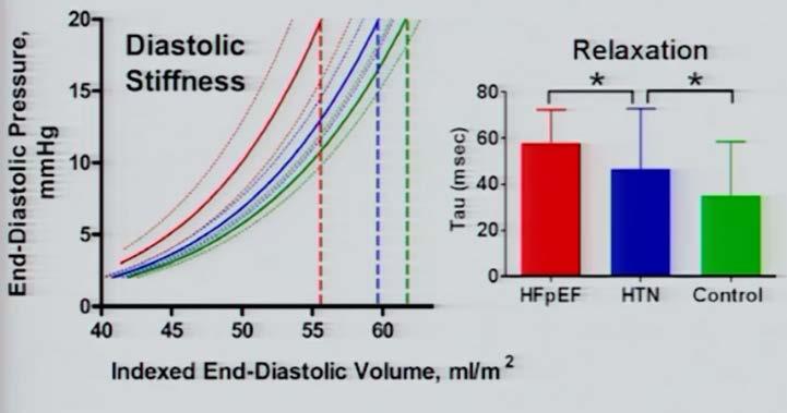 Diastolic Dysfunction Most Important Mechanism in HFpef Impaired