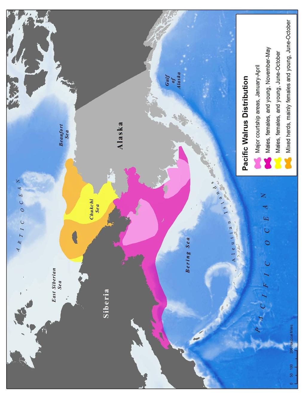 Figure 1. Distribution of the Pacific walrus.