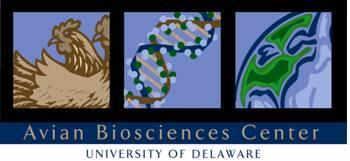 The 9 th annual Emergency Poultry Disease Response certificate course will be offered by the University of Delaware to participants from around the world in 2017.