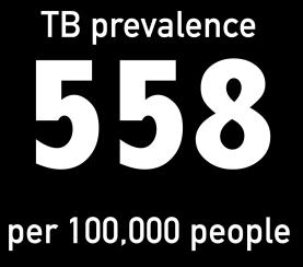 809 males per 100,000 people 3 Testing for Tuberculosis 4