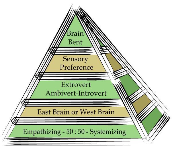 Gender Differences Are represented by the foundational layer on the Who I Am Pyramid Gender differences
