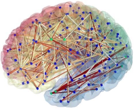 DTI Results Create a Connectome A connectome is a neural map that shows whether and how one region of the brain is physically connected to another region DTI studies have established the level of