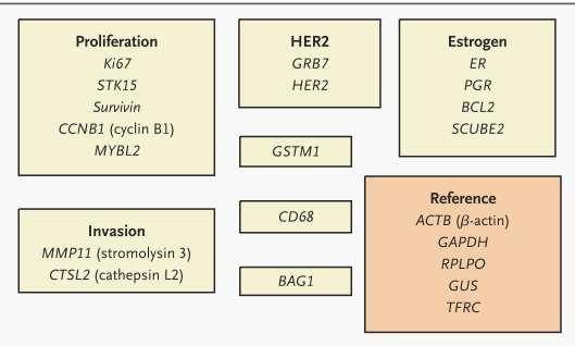 NSABP-B14 Paik NEJM 2004; 351: 2817 ER+/LN- ESBC randomised to tamoxifen vs