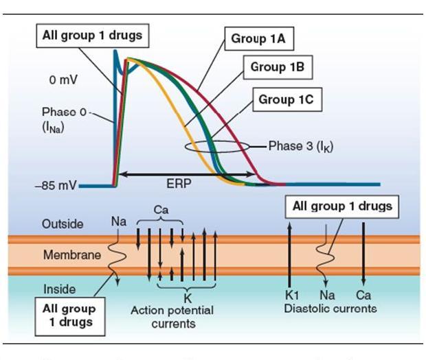 CLASS I Sodium Channel Blockers Class I antiarrhythmic drugs are traditionally divided into three subclasses--ia, Ib, and Ic--on the grounds of differences in kinetics of interaction with the sodium