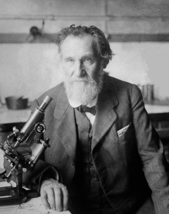 The Intestinal Microbiota and Health Ilya Ilyich Mechnikov - 1908 Nobel Laureate in Physiology or Medicine Prolongation of Life: Optimistic Studies that aging is caused by toxic bacteria in the gut