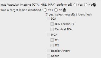 Hospitalization Tab NEW MER Elements added to Brain Imaging section of the Hospitalization tab to determine: Whether advanced imaging was performed Location of Target Lesion if identified (eligible