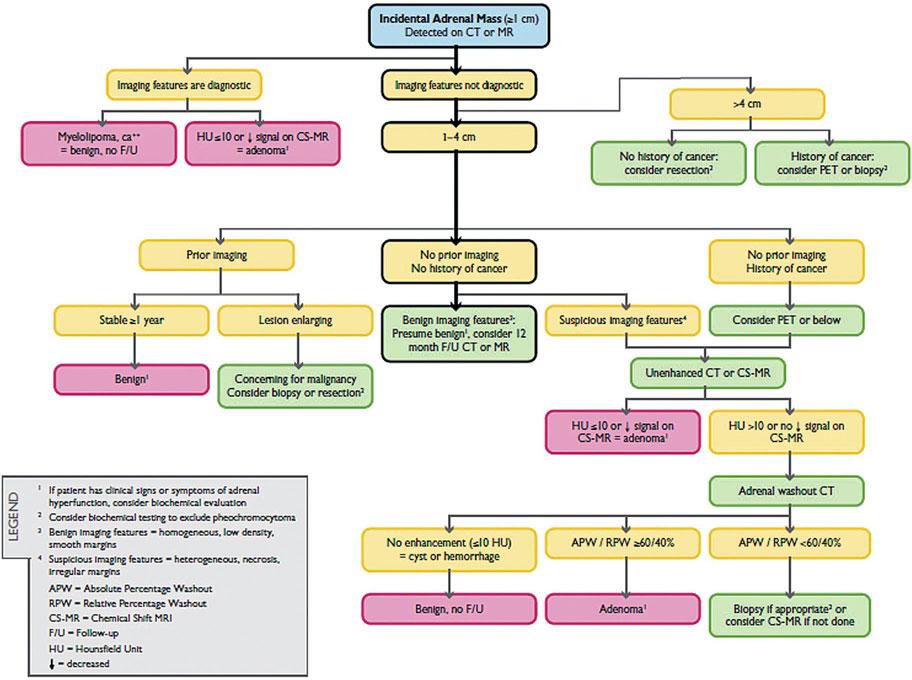 Adrenal Imaging 137 Fig. 1. Algorithm for evaluating an adrenal incidentaloma (reproduced with permission from [28]) References 1.
