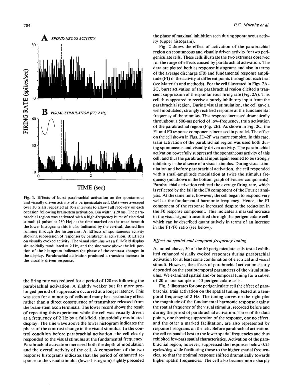 784 P.C. Murphy et al. SPONTANEOUS A CTTVITY VISUAL STIMULATION FF; 2 Hz) TIME (sec) Fig. 1.