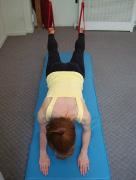 PRONE PLANK Alligator Equipment Setup: Repetitions: Fuzzy Straps or Narrow Slings Set to Shoulder Height with Elbows